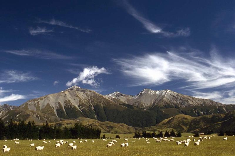 WT 037-34 New Zealand.jpg